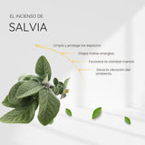 Incienso Lobo - Salvia Blanca