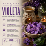Aromatizante Spray Violeta 100 mL