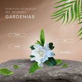 Mini Sahumerio Tibetano Gardenias Flores Blancas