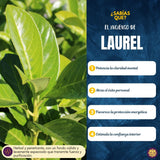 Incienso Masala Laurel