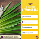 Mini Incienso Ciervo - Lemongrass