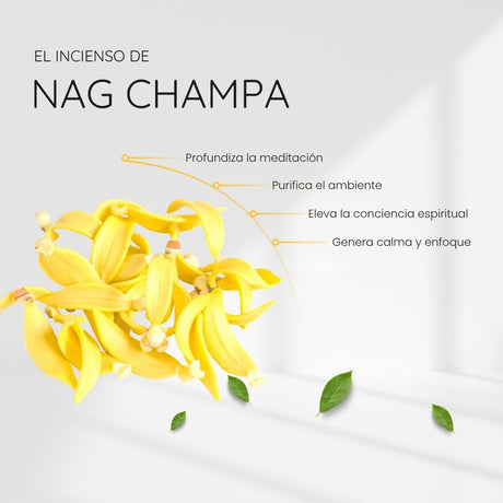 Incienso Nag Champa con Piedra Amatista