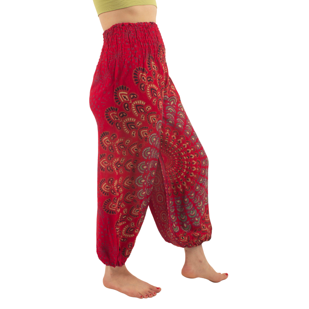 Pantalon Arya Rojo con Azul