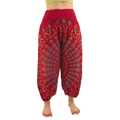 Pantalon Arya Rojo con Azul